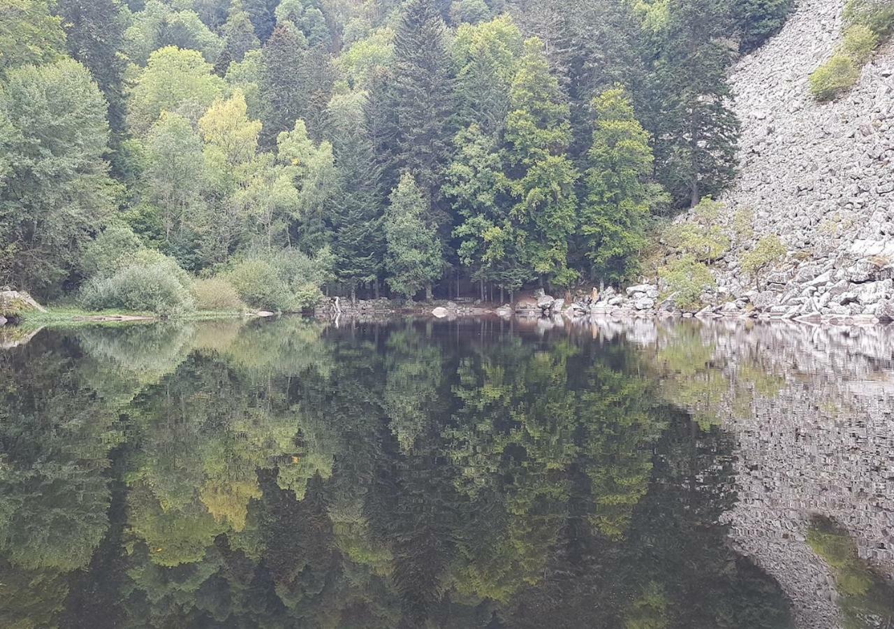 Naturezenkota Митлах Экстерьер фото